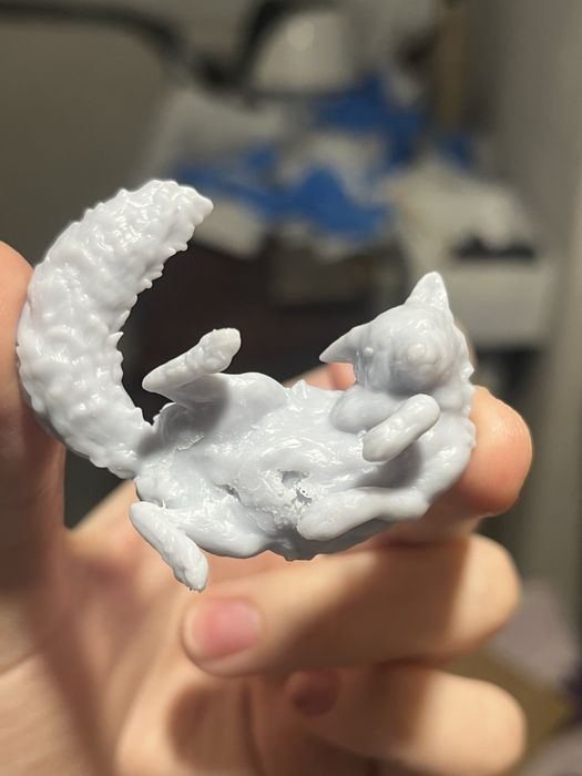 Model lisa second quality