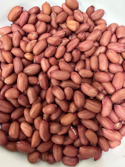 Арахіс земляний горіх сімена чищений домашній