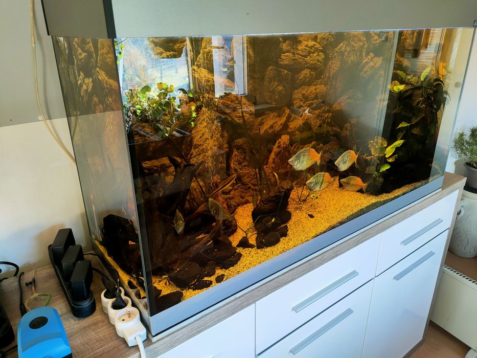 Akwarium 288 litrów ( 120x60x40 )