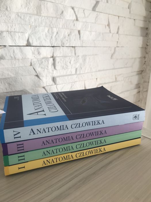 Anatomia człowieka  Narkiewicz Moryś wszystkie części