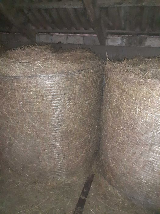 Sprzedam SŁOMA, SIANO Bele