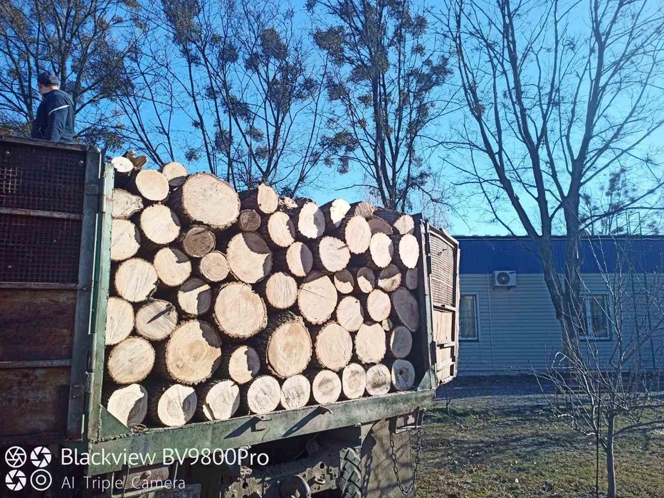 Продам дрова дубовые