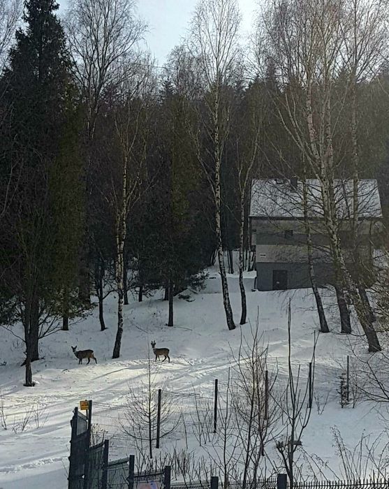 Ferie,Weekendy, Domek w ,,Brzozach,, na Wyłączność