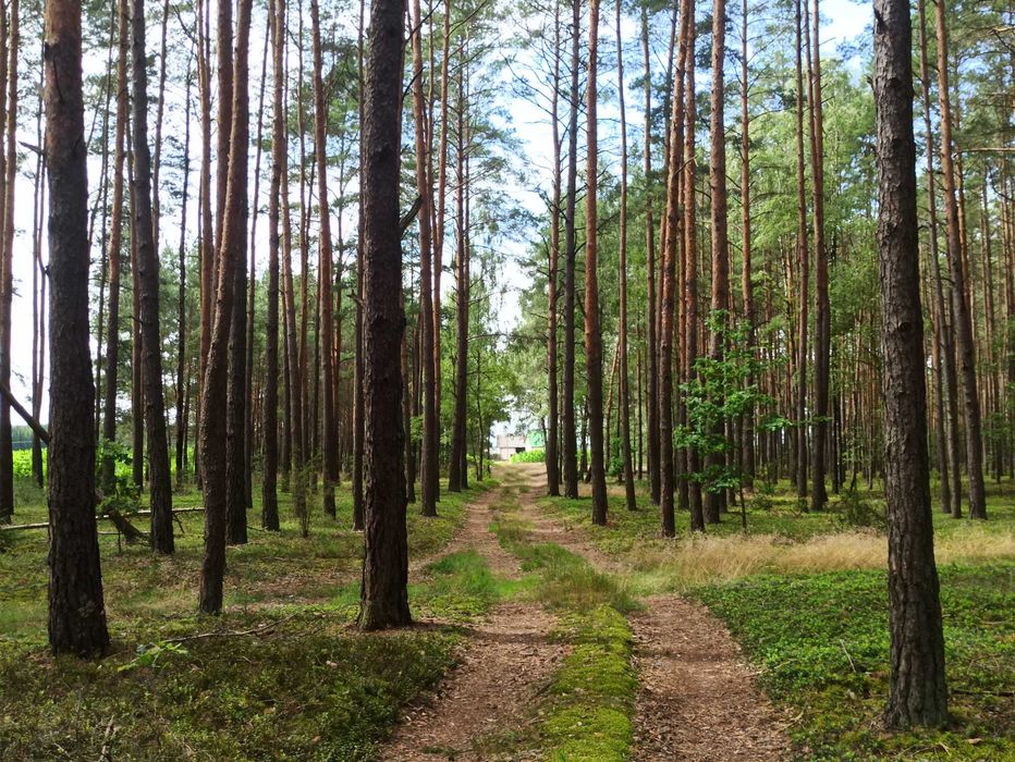 Zdjęcie 3