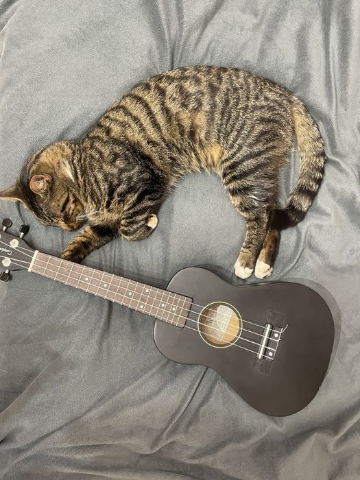 UKULELE Tanglewood TU 101 Union Series