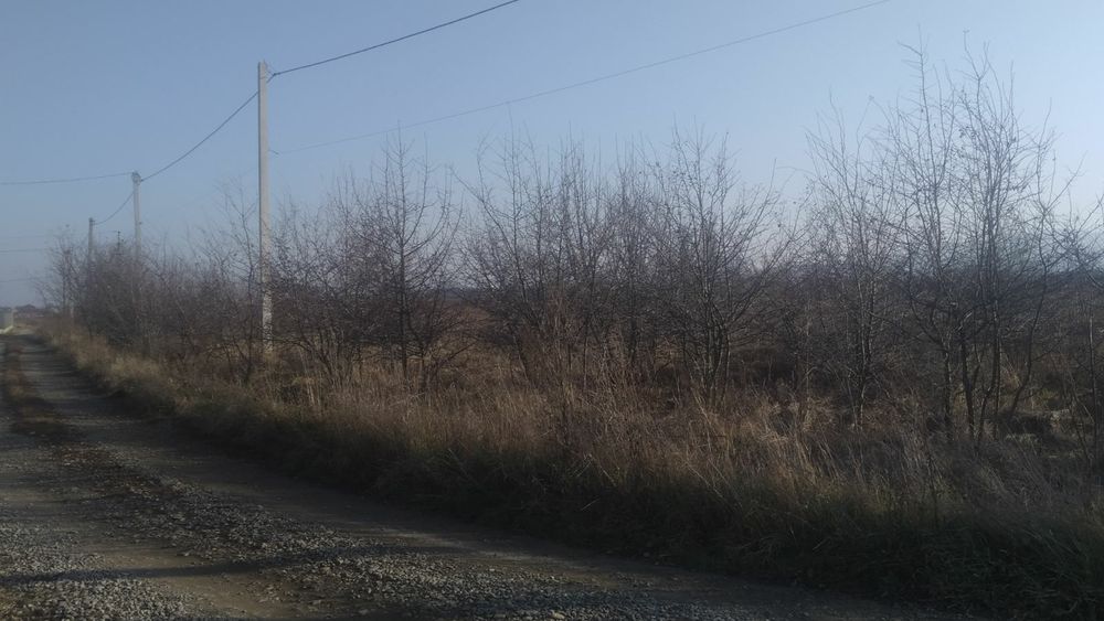 Продам земельну ділянку.