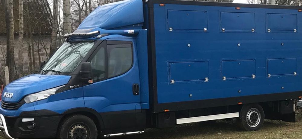 Iveco Dayli do transportu zwierząt żywca