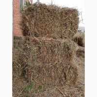 Продам тюковане сіно різнотрав’я