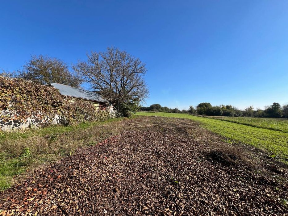 Продаж будинку в с. Олеша