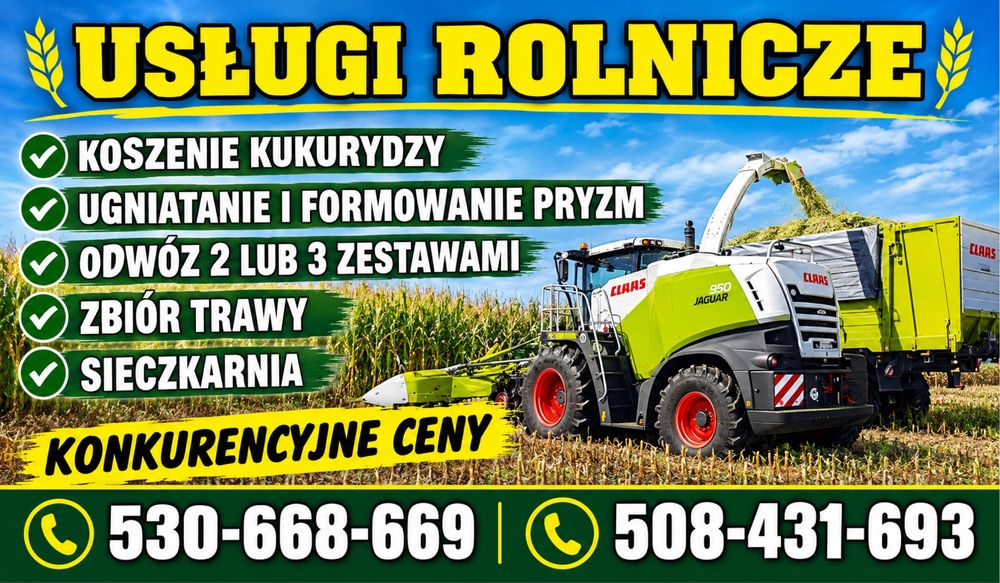 Uslugi rolnicze koszenie kukurydzy