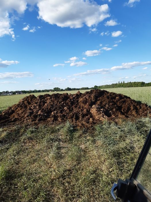 Sprzedam obornik bydlęcy
