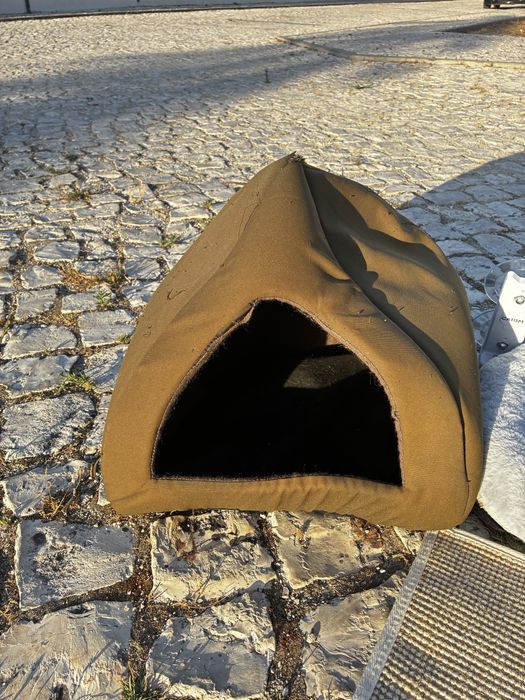Conjunto para gato