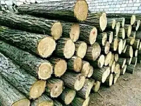 Акация,дуб,ясень,дрова,отопление