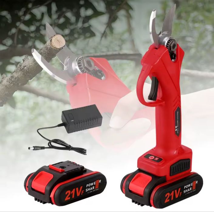 Tesouras de poda (2 baterias incluídas)