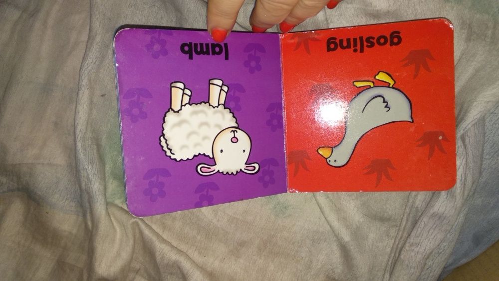 детская книга на английском цветная дети животных Animal babies