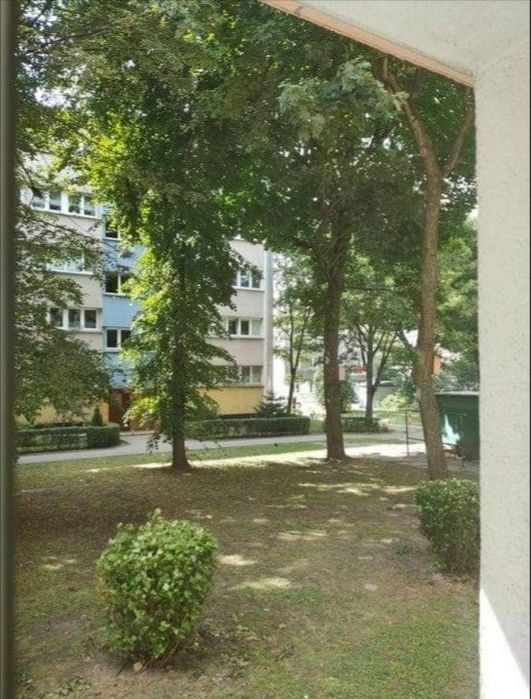 Wynajmę M3 , okolice Manufaktury