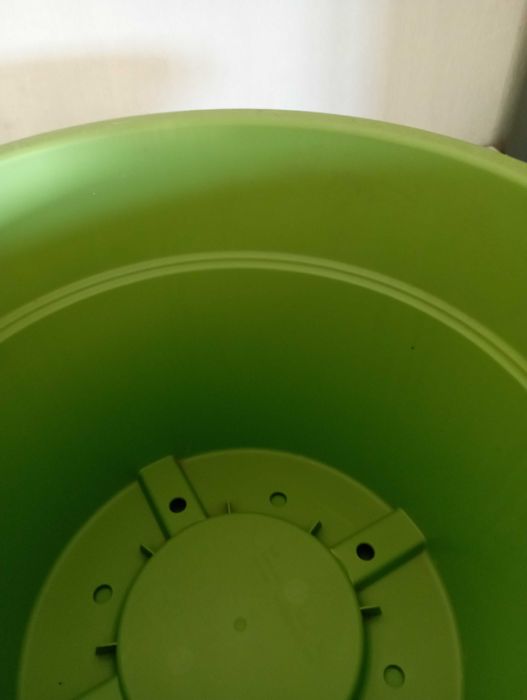 Vaso plástico verde