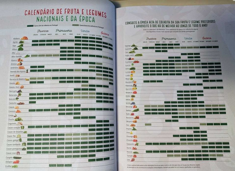 Livro Quatro Estações cozinha fantástica