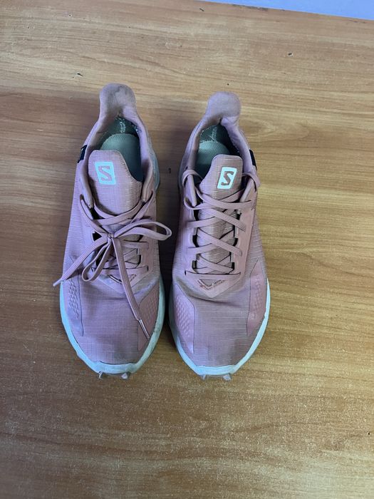 Жіночі кросівки Salomon Alphacross Blast GTX W