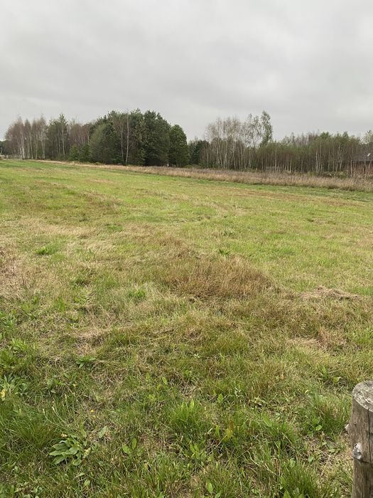 Sprzedam działke w Żyrakowie + pozwolenie na budowę. - Widok 2