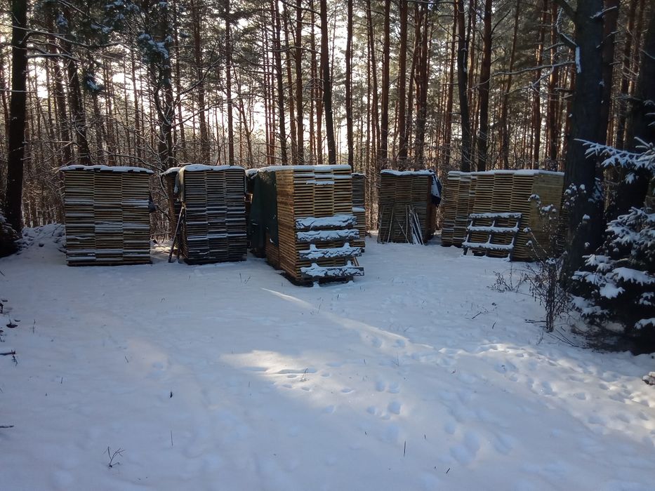 Fryzy dębowe parkietowe