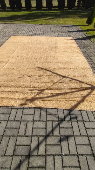 Wykładzina dywanowa