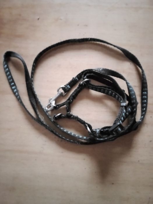 Клітка для котика+нашийник.