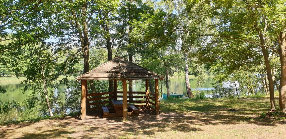 1sza linia WIDOK na Jezioro Skorzęcin Tramp 10/18osób