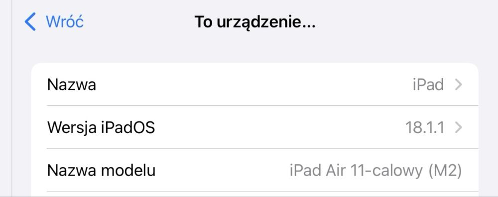 Ipad Air 11-calowy (M2) 256 gb 2024