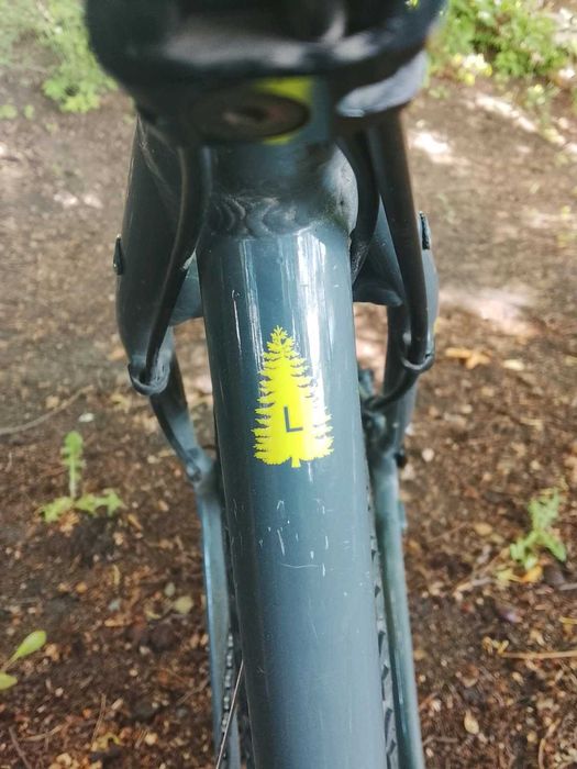 MTB Fokus black forest
