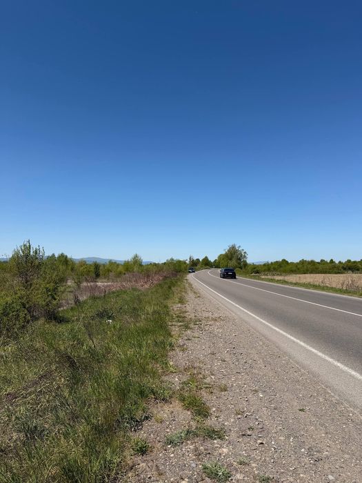 Продається земельна ділянка біля м. Тячів