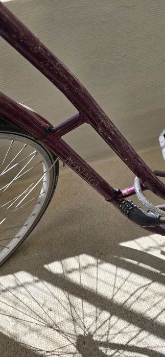 Bicicleta de marca holandesa