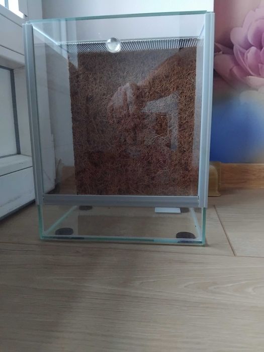 Terrarium 20x15x25