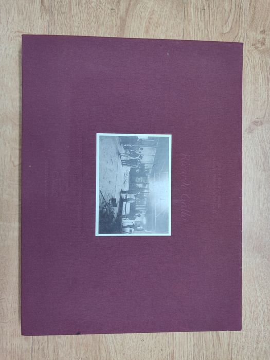 Vendo livro Ricardo Gallo 100 anos