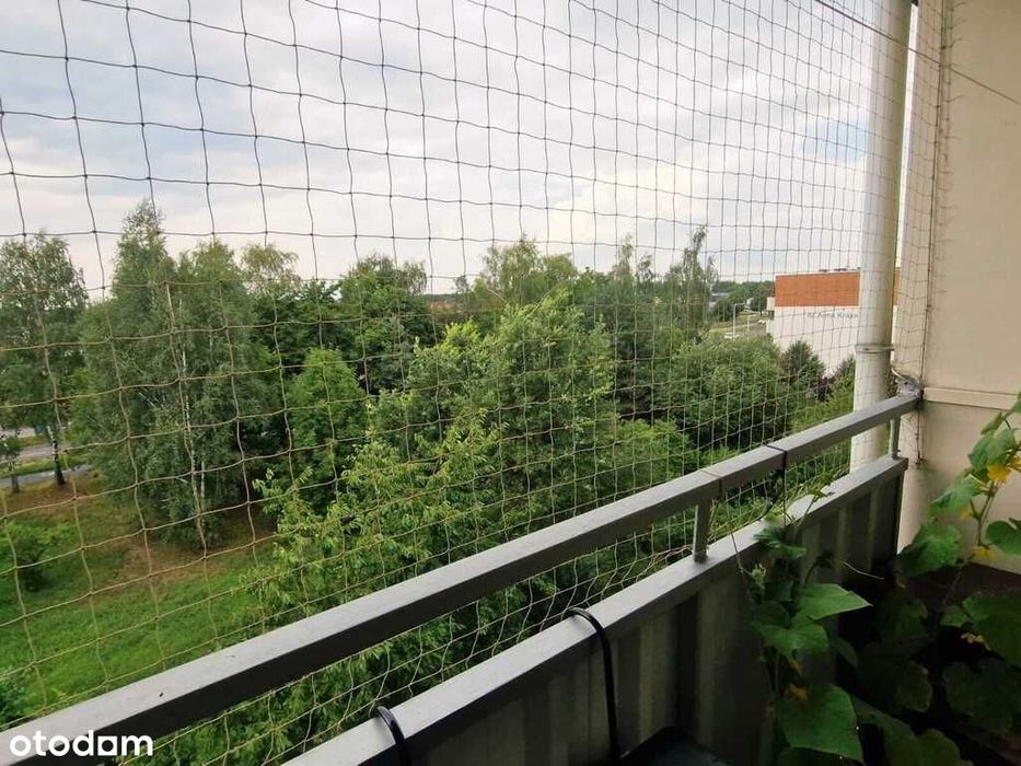 M4 z balkonem oraz widokiem na zieleń