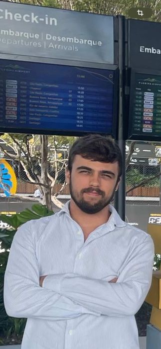 Passeio cães com cuidado e atenção