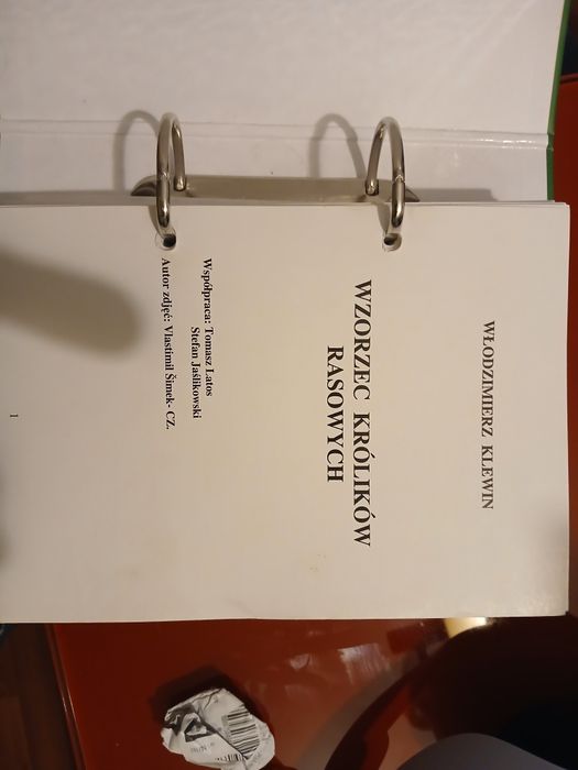 wzorzec królików rasowych