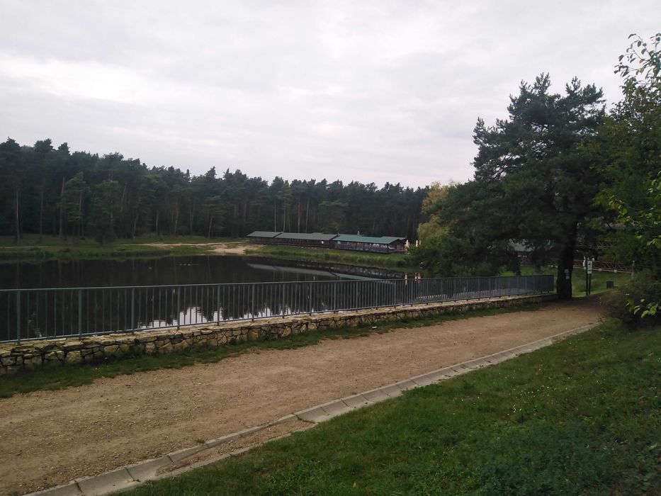 Działka Złoty Potok - Widok 5