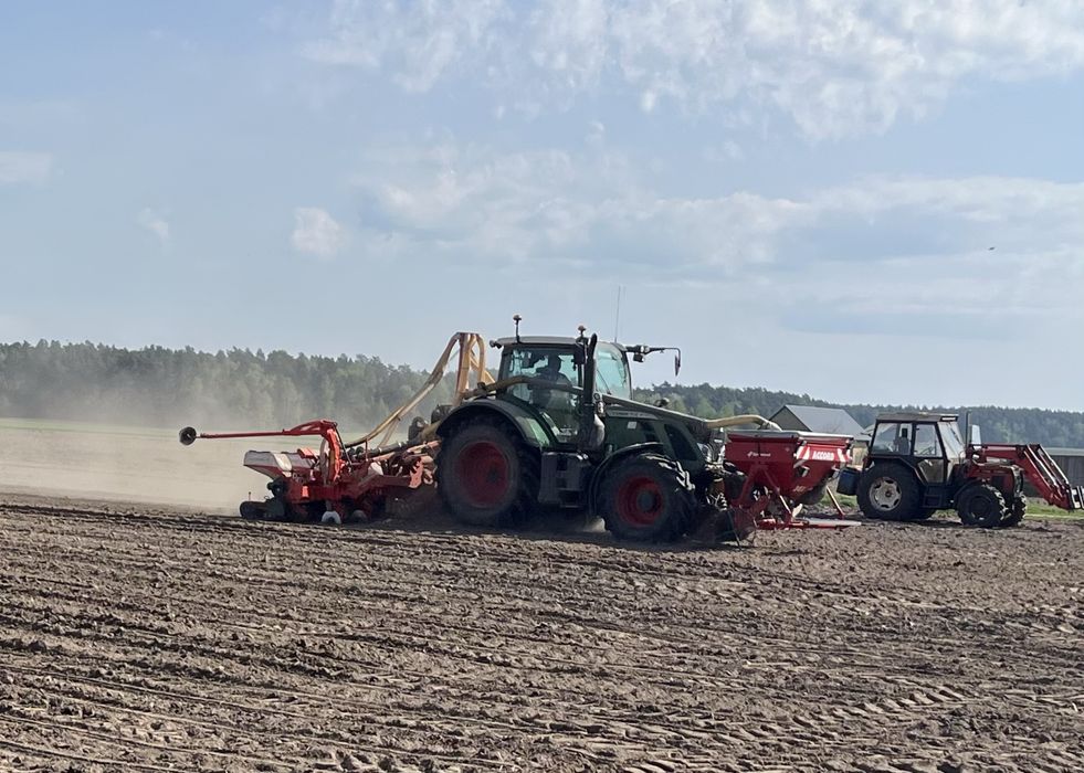 Usługi rolnicze,  siew kukurydzy uprawa bezorkowa, talerzowanie orka wynajem agregatu