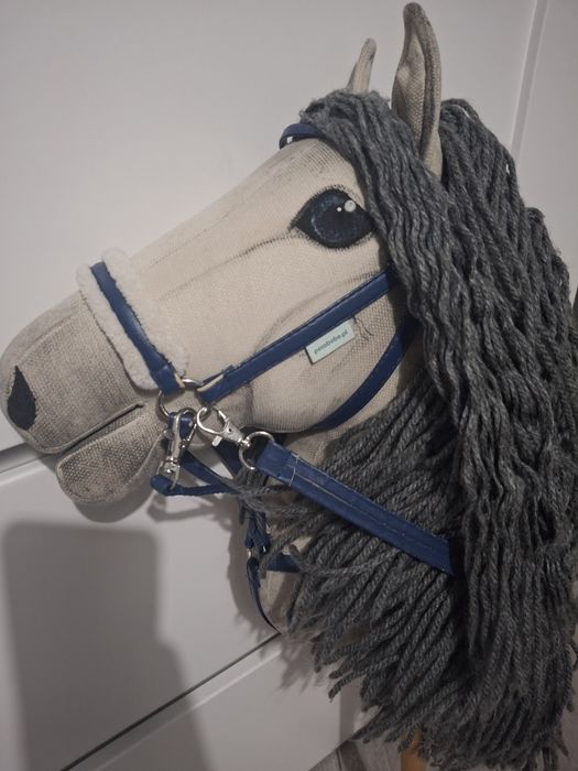 Hobby horse (konik na kiju)