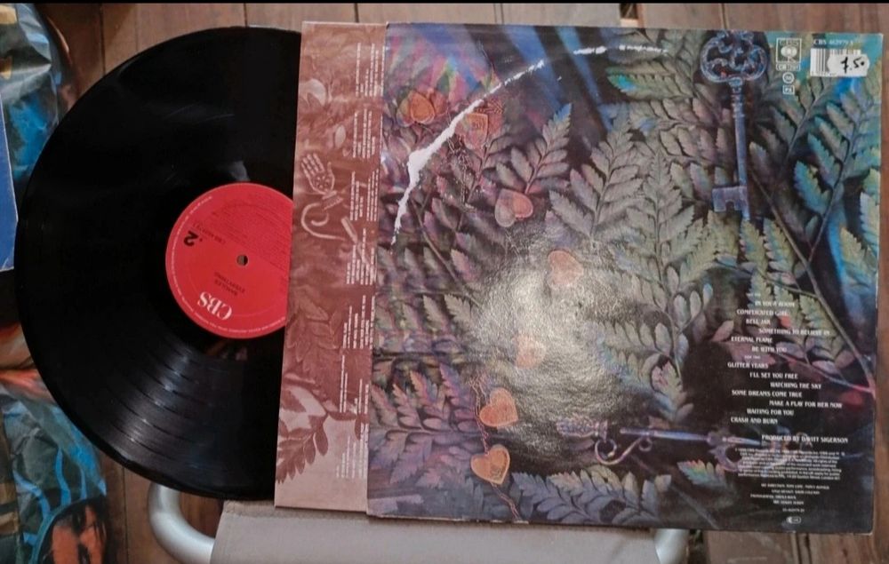 Disco Vinil Bangles Everything