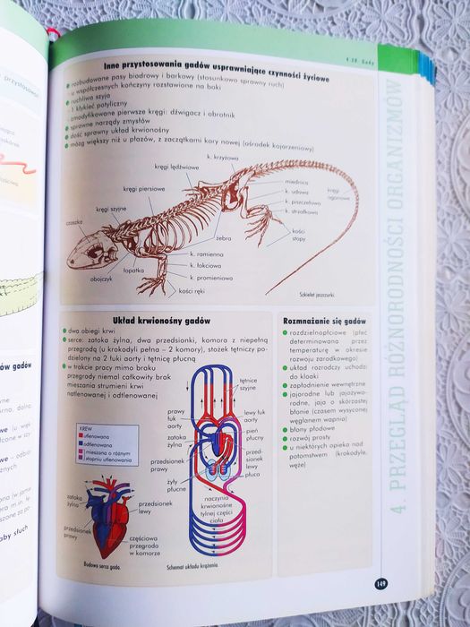 Matura biologia 2011