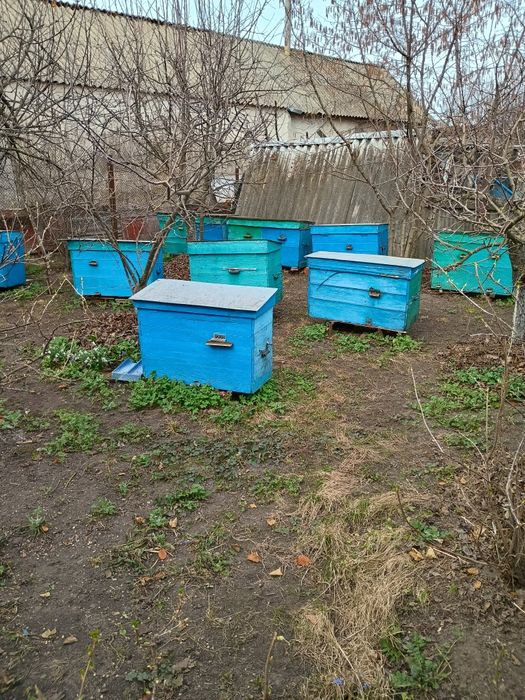 Порожні вулики українські