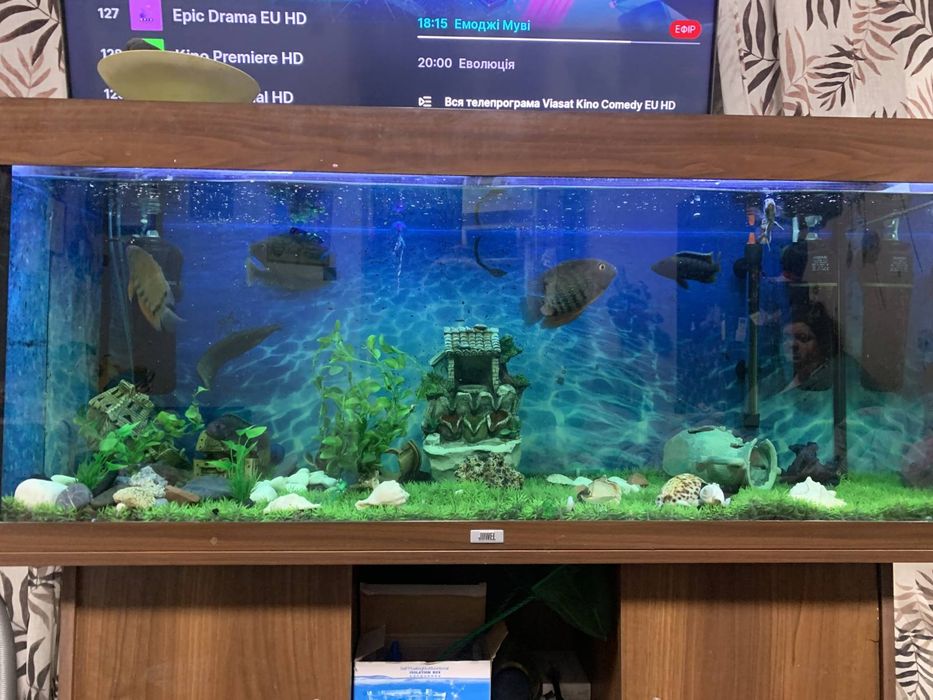 Акваріум діючий ,німецького виробництва