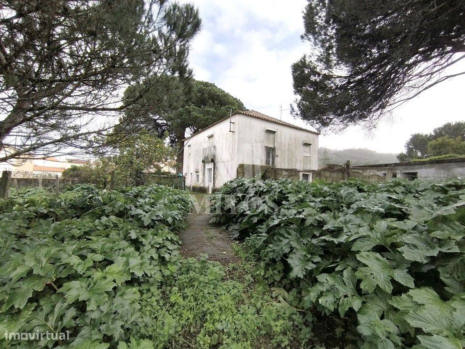 Quinta com terreno em zona de construção - Darque