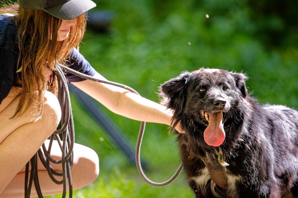 Corso- adoptuj a twój świat będzie piękniejszy [FILM]