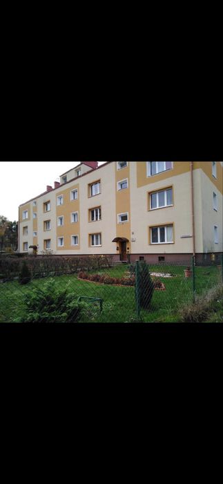 Wynajmę mieszkanie
