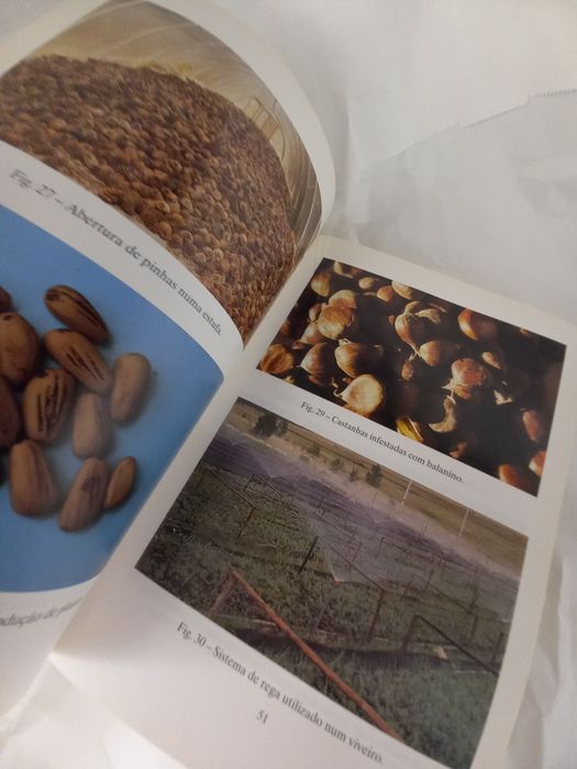Manual de Sanidade de viveiros florestais
