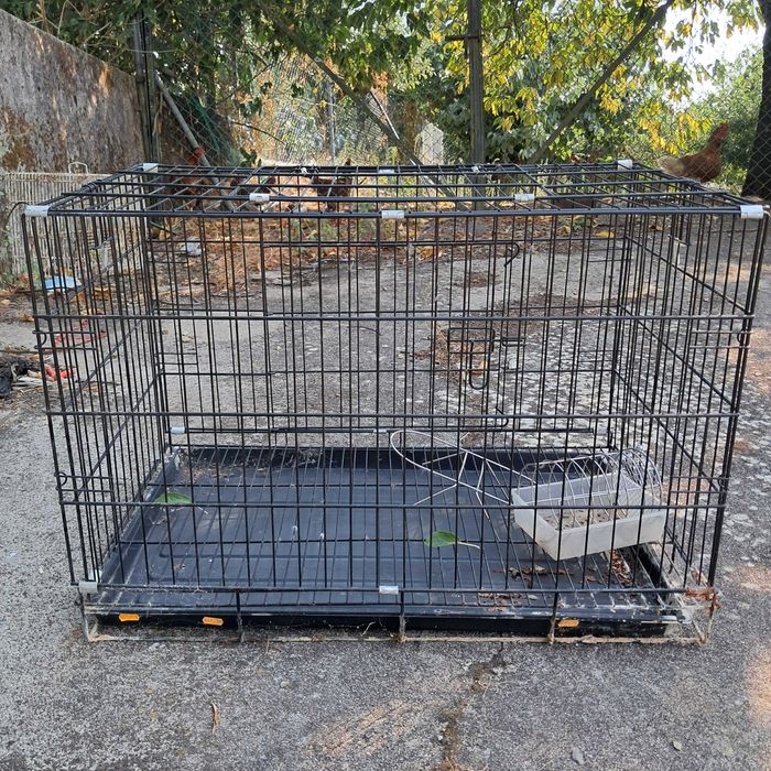 Gaiola esquilos/coelhos