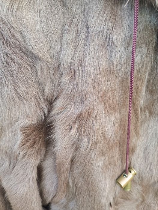 Futro naturalne z kozy jak nowe XL